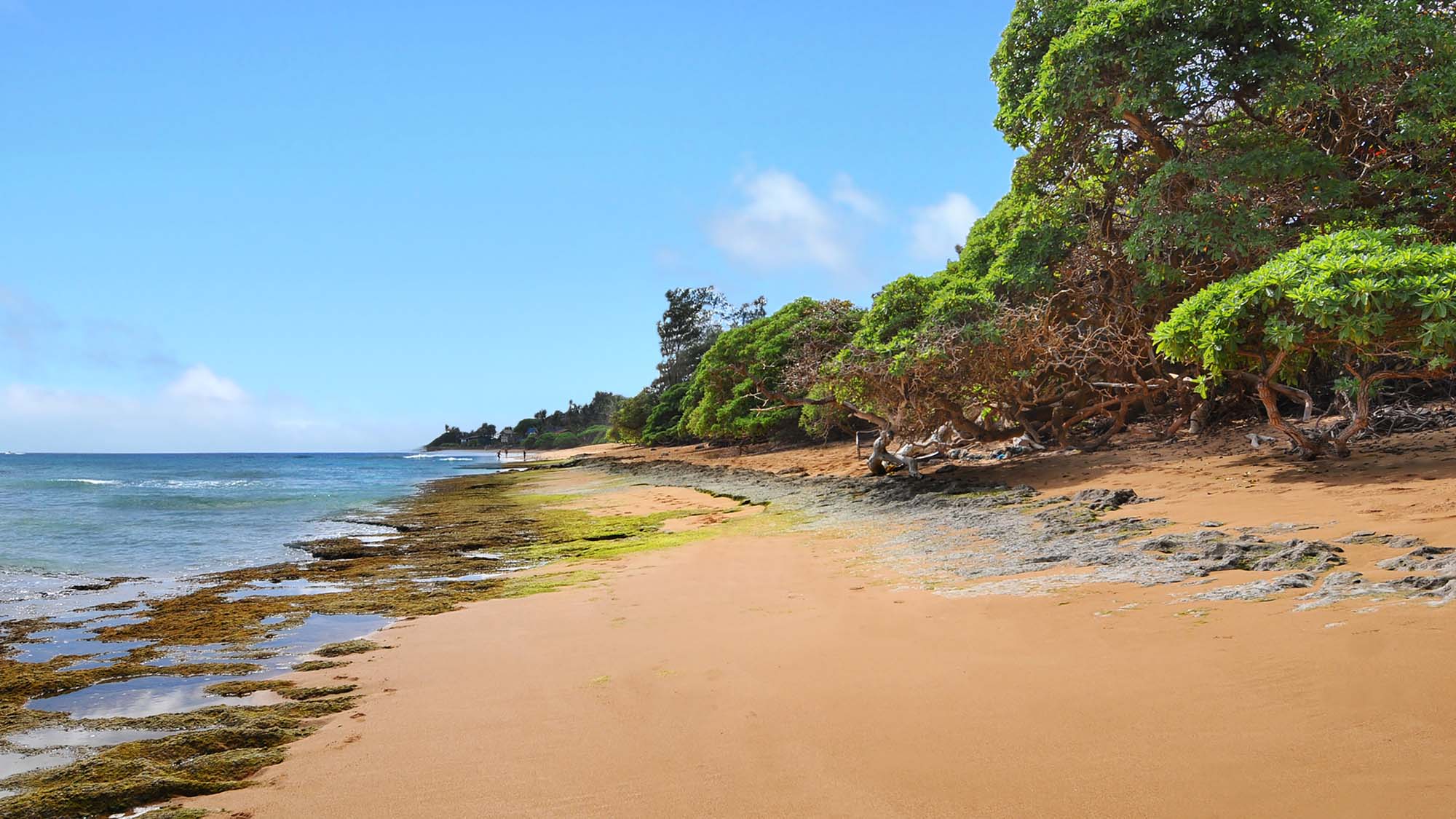 Aliomanu Beach Features Seclusion and Access to Papa`a Bay