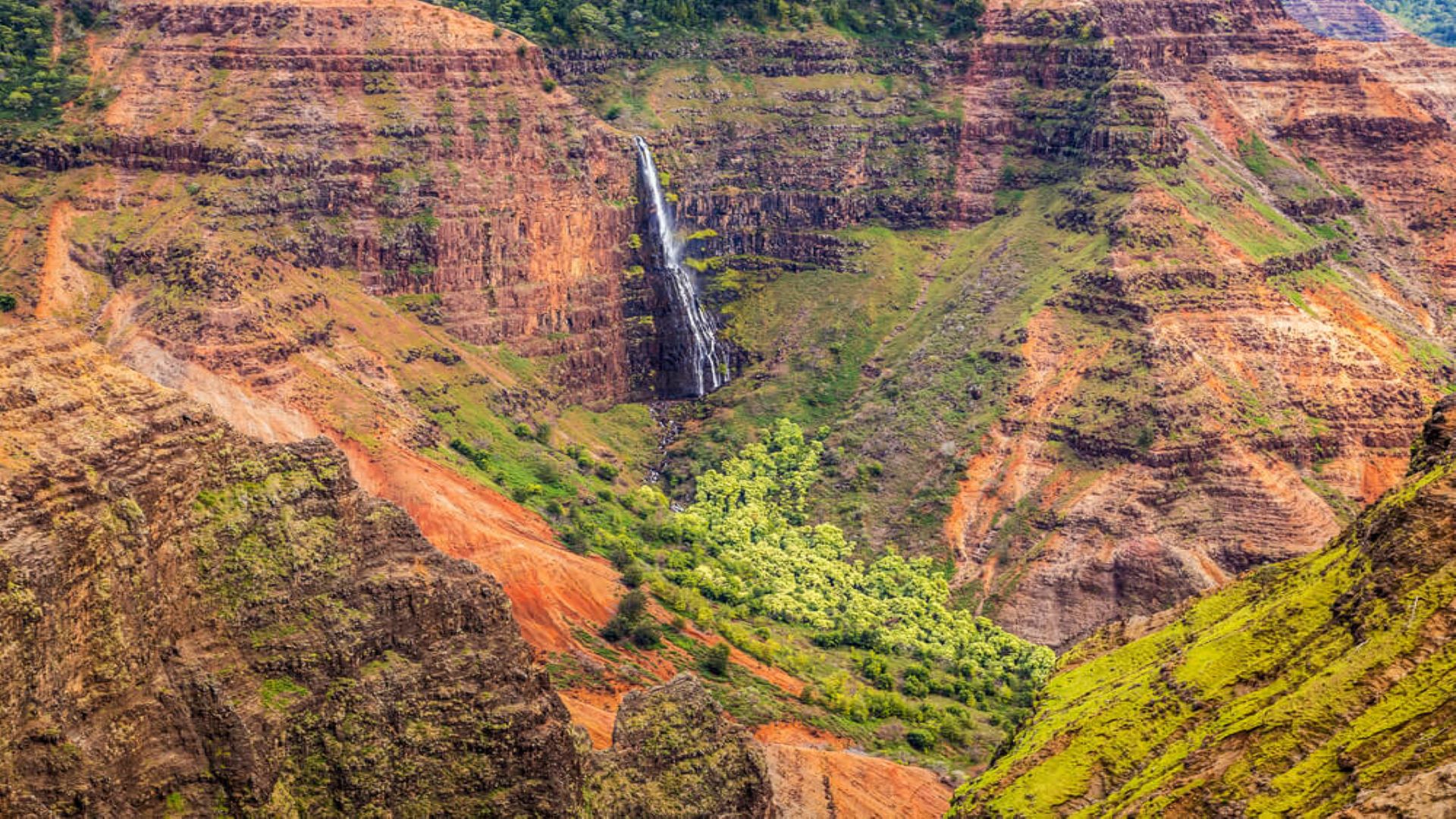 5 Easy Hikes to Enjoy in Utopia Beach Rentals
