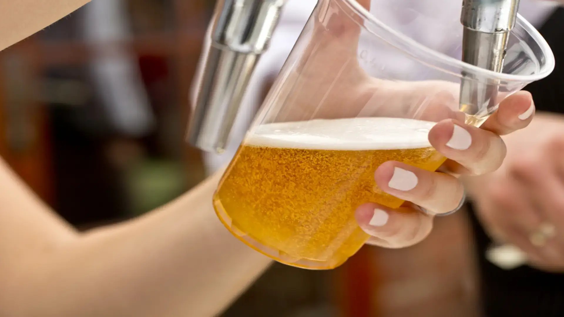 Celebrate Craft Beer at the Utopia Beach Rentals Brewers Festival